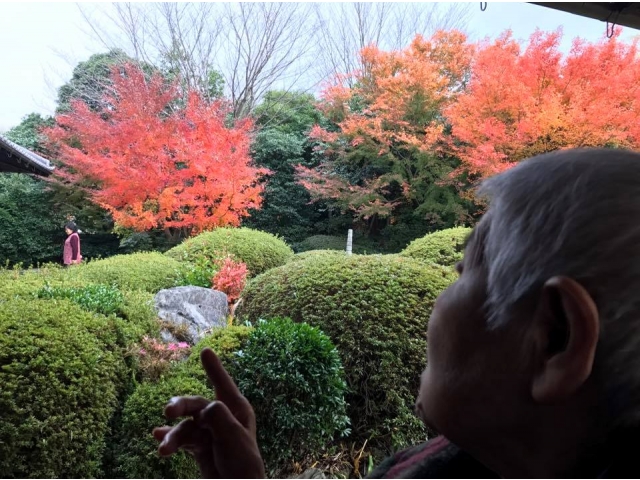 ３０日の紅葉
