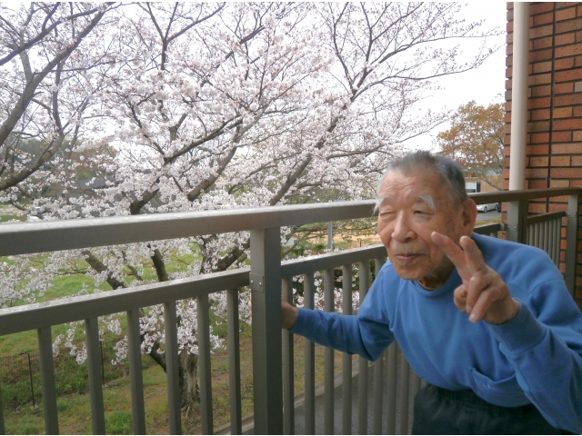 ユニットのベランダからも目の前に桜🌸が見えます！大迫力！！