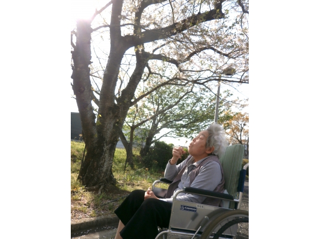 タンポポの綿毛に・・・ふぅー😮‍💨