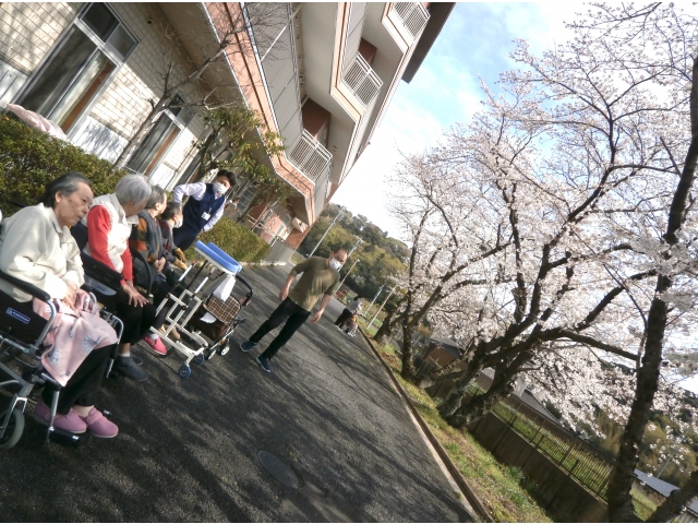 職員や次長さんも一緒にお花見🌸