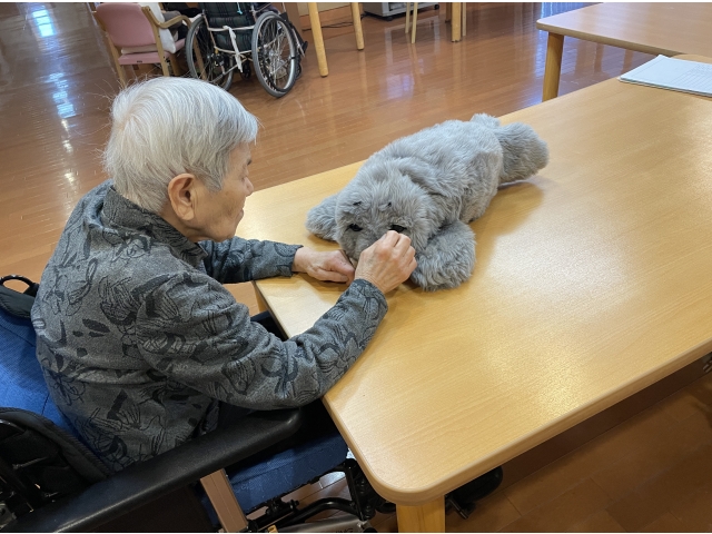 「にゃーにゃー👵🏼」「キューキュー🦭」とお話しています。つ、通じている？！