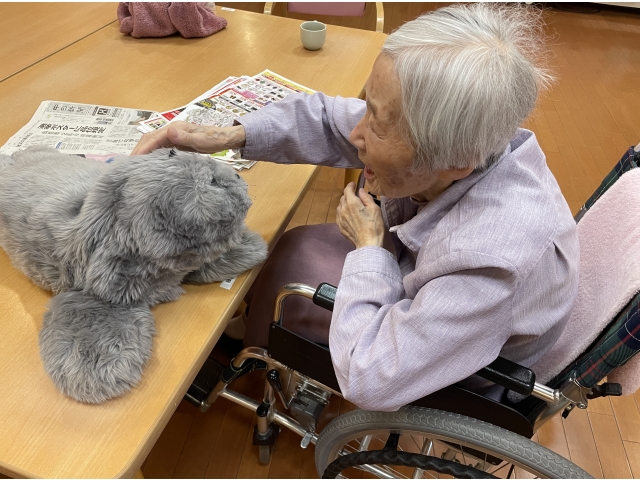 この子動くの？すごいねぇ😲