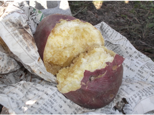 しっとりほくほく！普通の焼き芋とは少し違う！