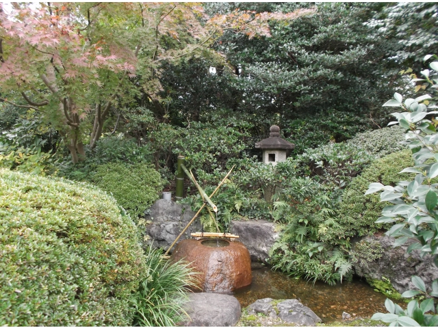 「紅葉が色づき始めているね」