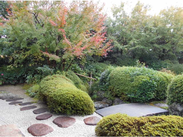 今年は暖冬で紅葉の色づきも遅かったです