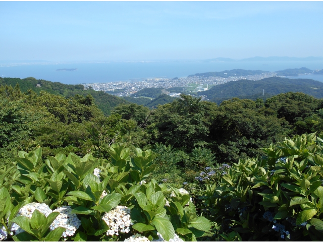 「絶景だね」
「あの島はなんだろ」