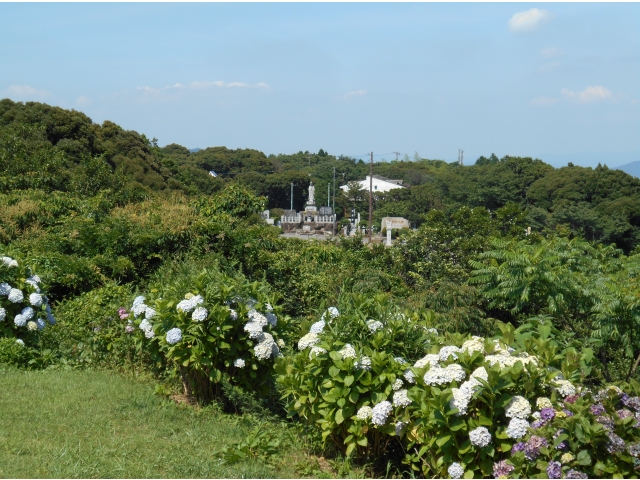 「立派な観音様が見えるよ」