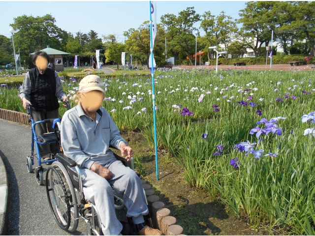 お花が大きい！でも見頃はもう少し先？