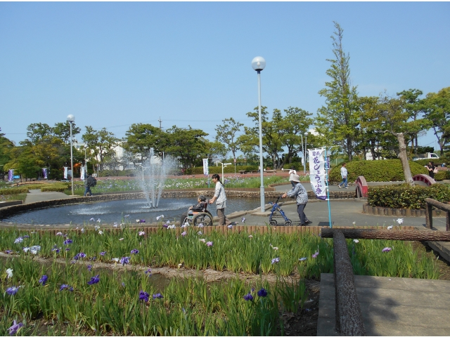 公園の噴水に虹が見えました