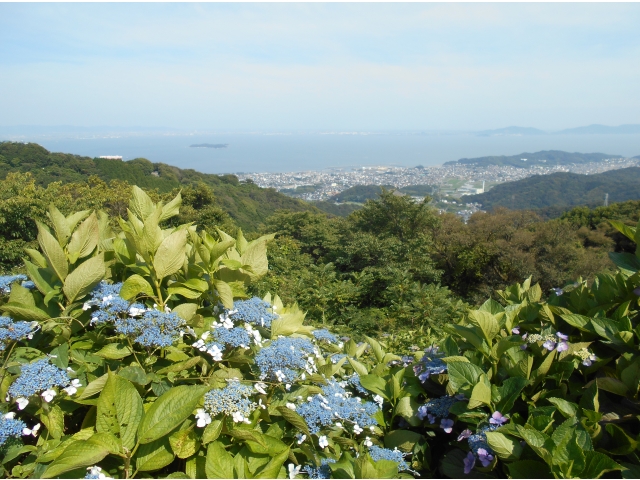 三ヶ根山頂上展望台からの眺め