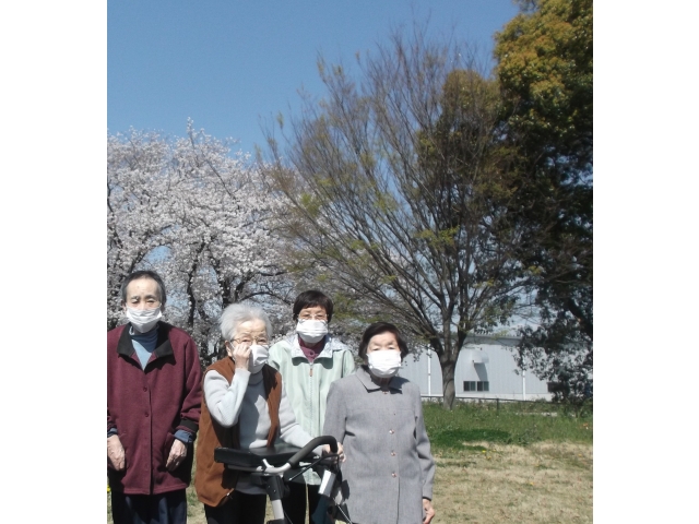 🌸桜並木で笑顔咲いた🌸