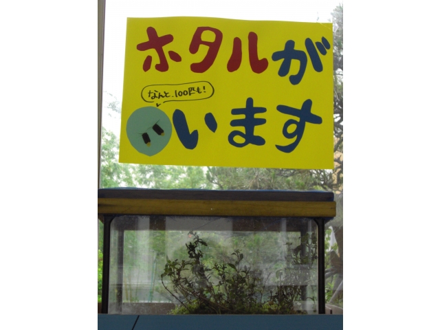 ロビーで展示中