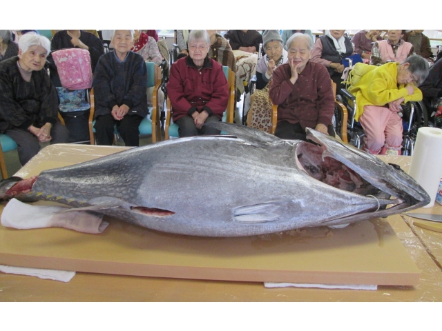 44.6kgの本マグロです。大きい！！