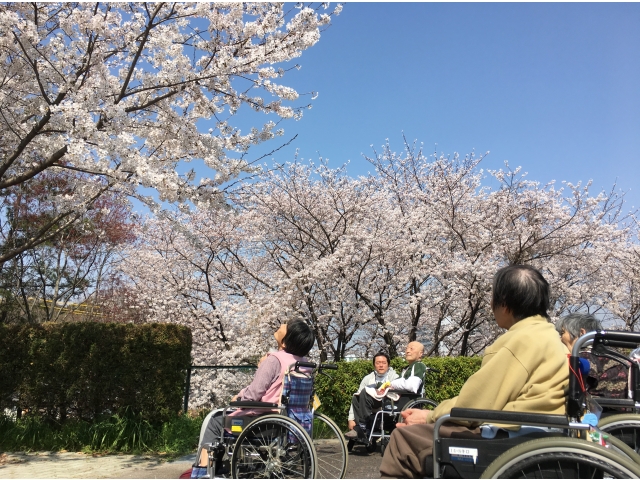 思わず見上げちゃいます