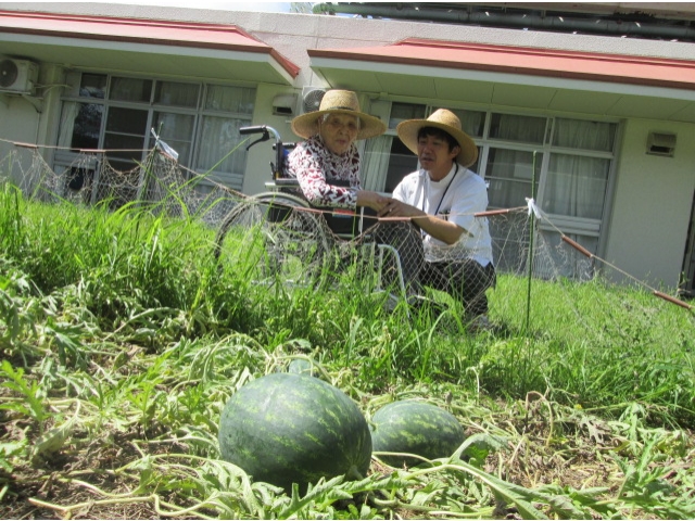 大きいのが「なってるとよ」