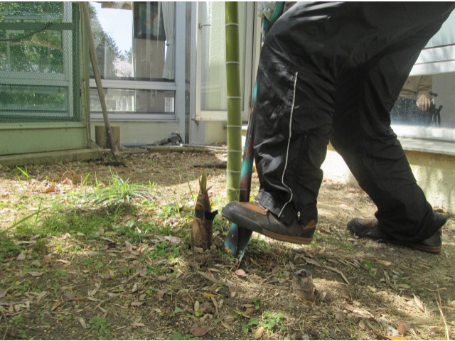 スコップでよいしょっ!