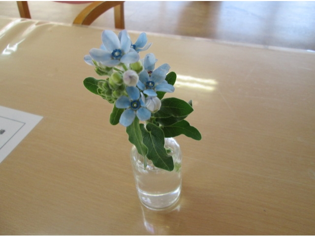 気分も華やかに…