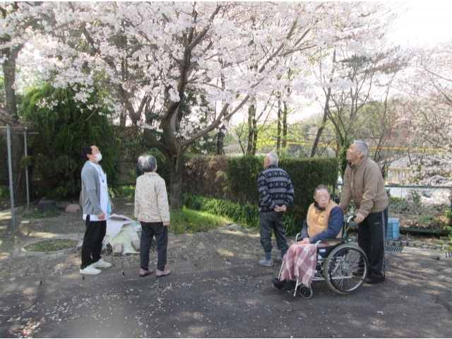 桜を見上げて、自然と笑顔がこぼれました。