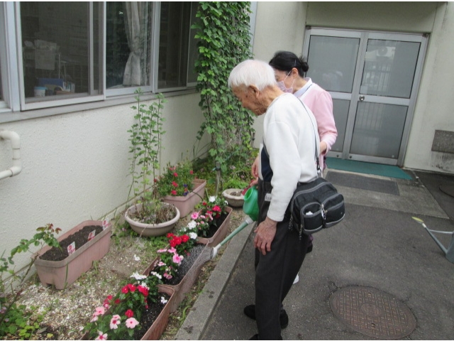 植え替えたお花に、ジョーロで水まきをしてくれました。