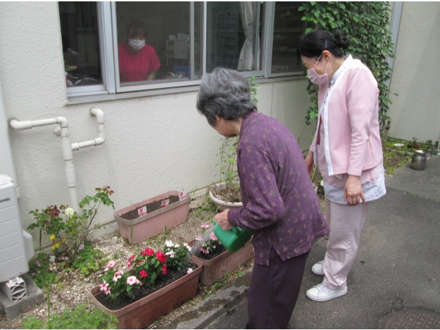 交代で水やりをしました。