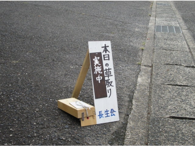 草取り実施中です!