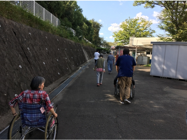 秋を探しながら歩きました