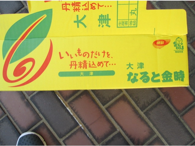 今日のさつま芋は、なると金時でした。