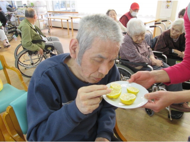 新鮮な柚を、半分に切って、柚子の匂いを楽しみました。
