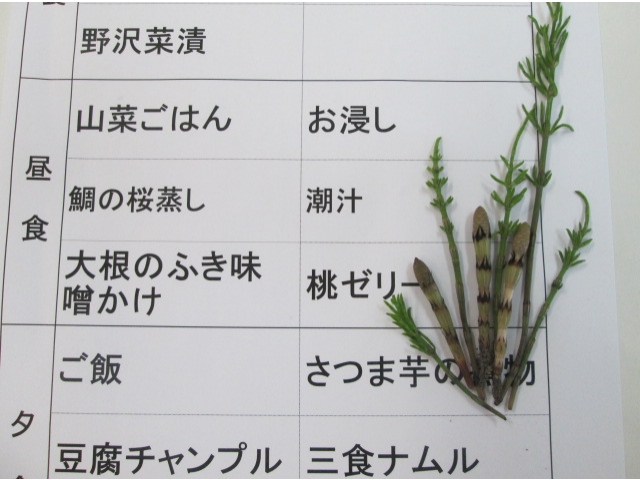 つくしで飾り付けした、本日のメニューです。