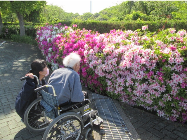 沢山のツツジに驚いていました。