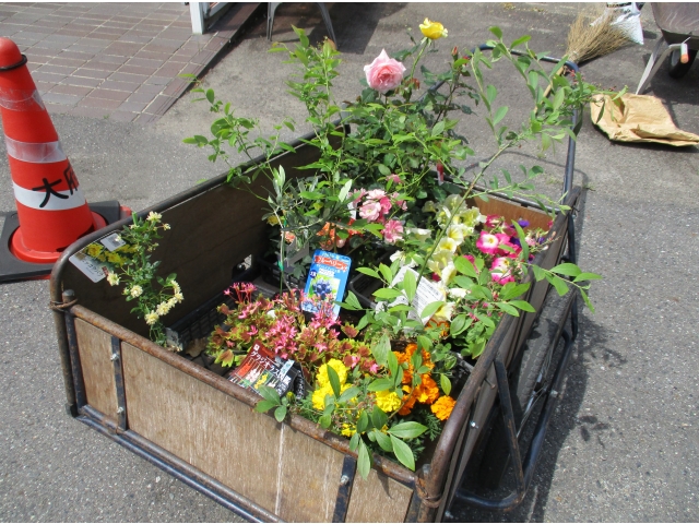 たくさんの種類のお花を植えてくださいました。