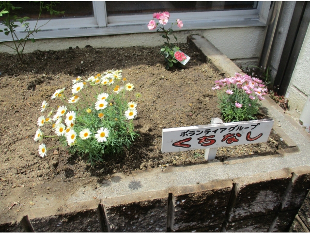 心が豊かになる活動をしてくださり、ありがとうございました。