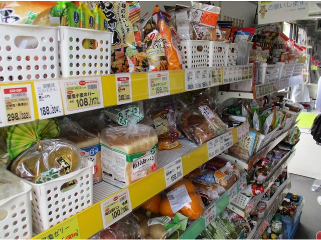 生鮮食品や冷蔵・冷凍食品やトイレットペーパーなど品揃え豊富でした。