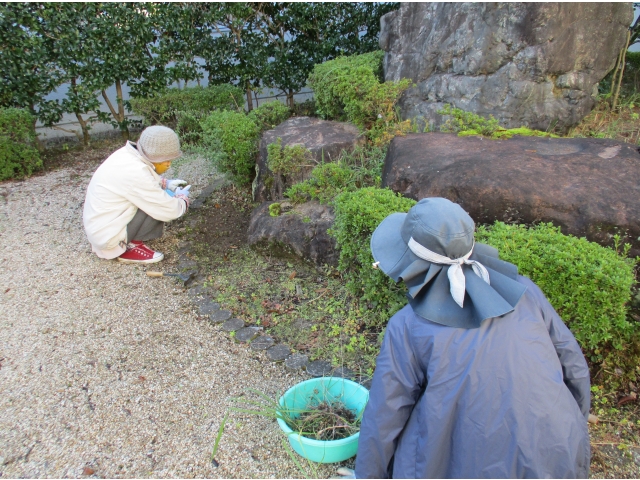 今日は中庭を中心に作業を行ってくださいました。