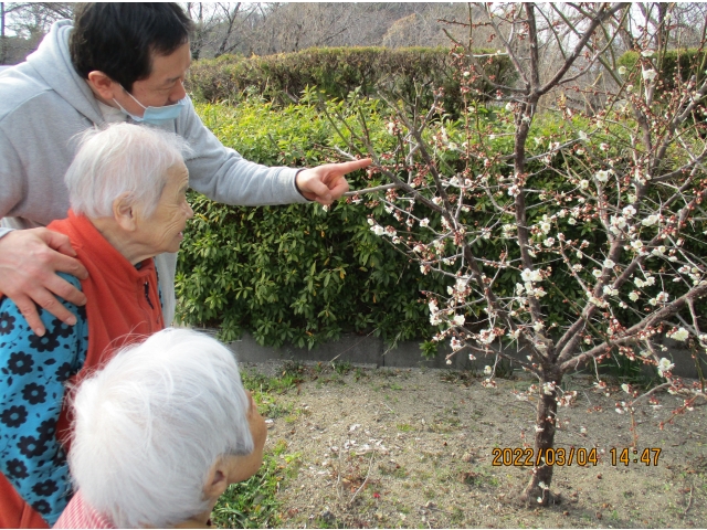 これからもっと花が開きそうです