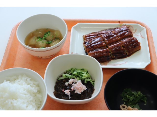 本日のうなぎ定食