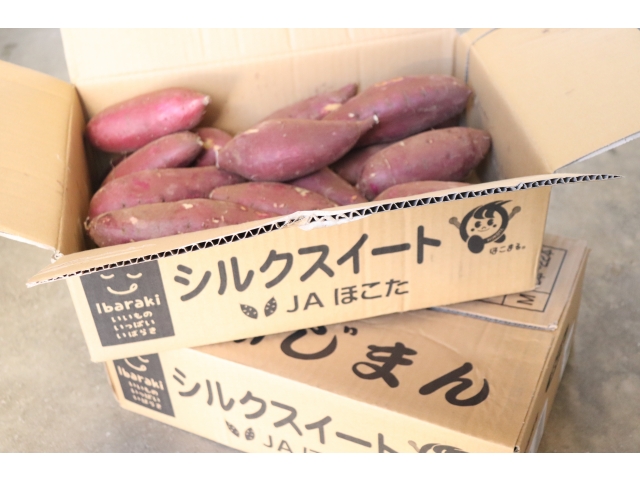 品種は「シルクスイート」