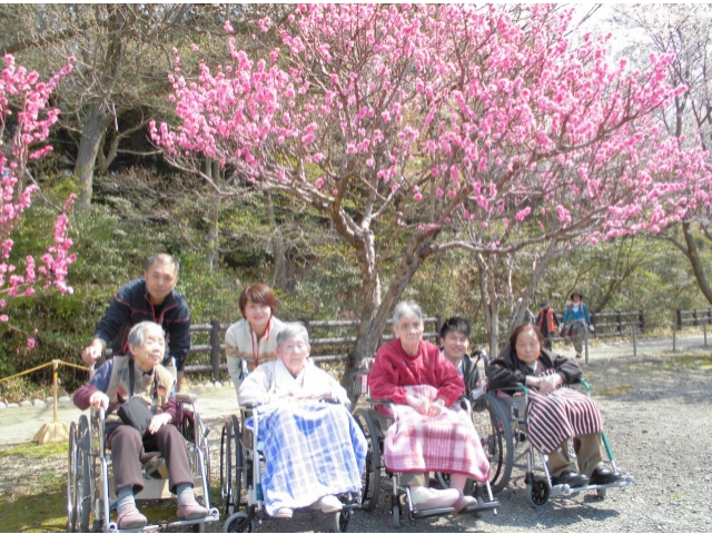 花見会