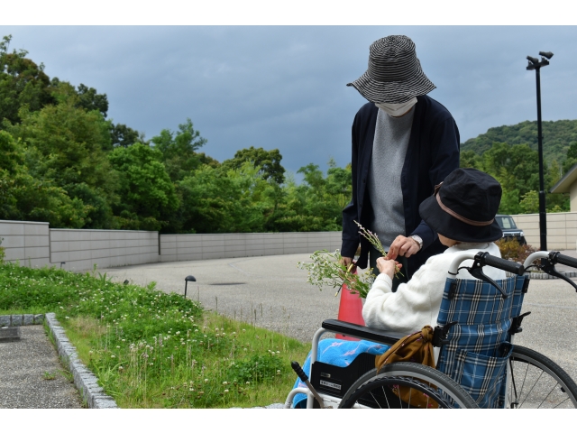 花摘み