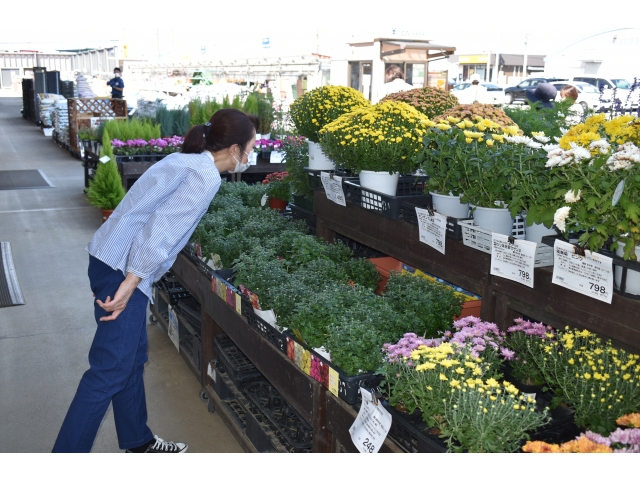 花苗も調査