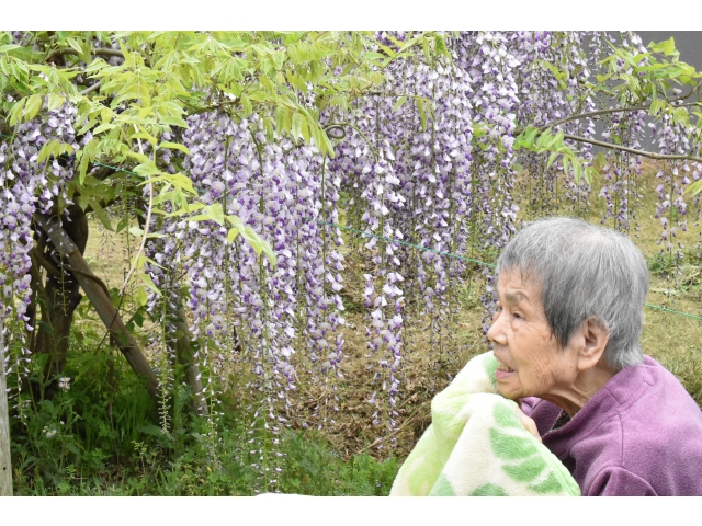 間近で見れてよかったですね(*´꒳`*)