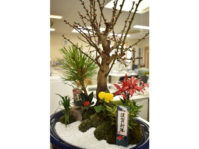 綺麗ですね😆