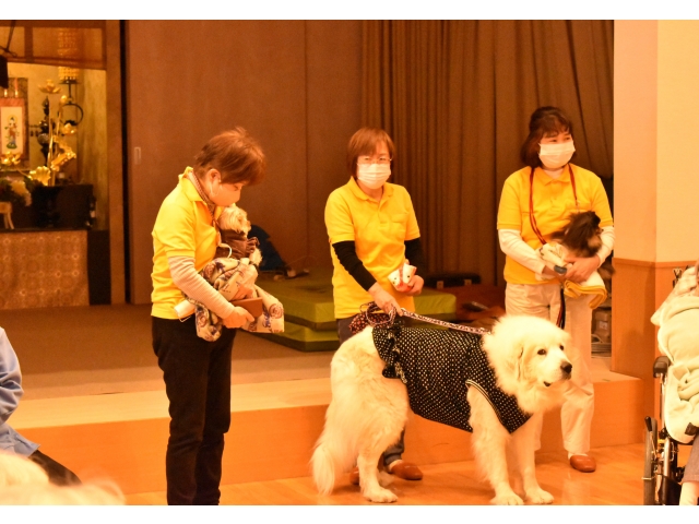 4頭の犬が皆さんに会いにきてくれました🐕