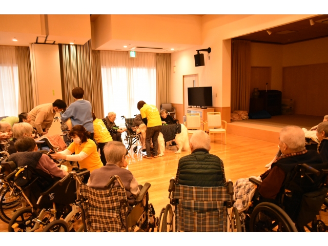 順番に犬との触れ合いを思う存分楽しみました🥰