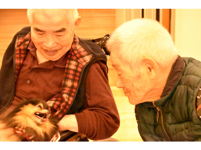 可愛いねぇ😍おーい😙