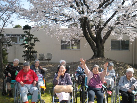 お花見会