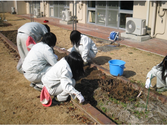 花壇の整備をして頂きました。