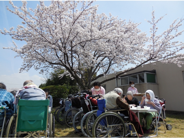 満開の桜を見ながらお食事です。
