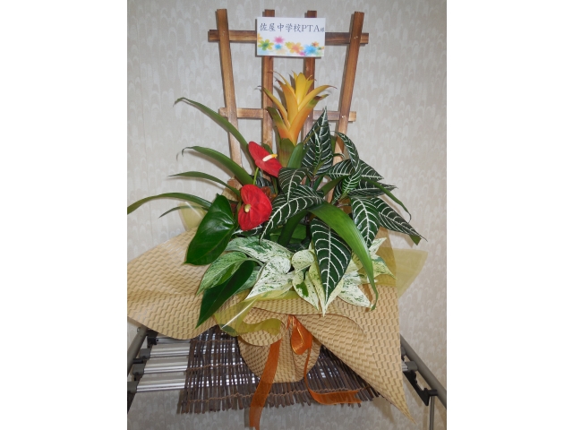 綺麗なお花をいただきました