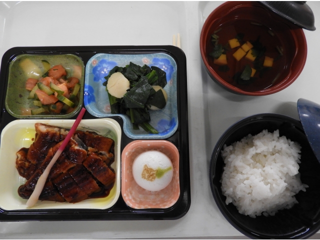 普通食